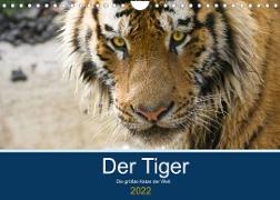 Der Tiger - die größte Katze der Welt (Wandkalender 2022 DIN A4 quer)