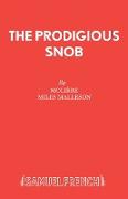 Bourgeois Gentilhomme.Prodigious Snob