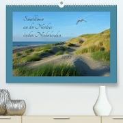 Sanddünen an der Nordsee in den Niederlanden (Premium, hochwertiger DIN A2 Wandkalender 2022, Kunstdruck in Hochglanz)