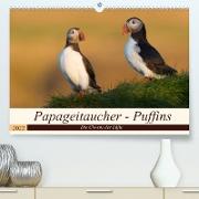 Papageitaucher - Puffins (Premium, hochwertiger DIN A2 Wandkalender 2022, Kunstdruck in Hochglanz)