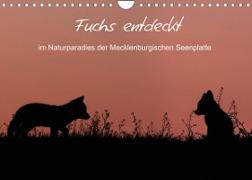 Fuchs entdeckt - im Naturparadies der Mecklenburgischen Seenplatte (Wandkalender 2022 DIN A4 quer)