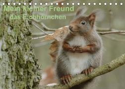 Mein kleiner Freund das Eichhörnchen (Tischkalender 2022 DIN A5 quer)