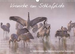 Kraniche am Schlafplatz - im Naturparadies der Mecklenburgischen Seenplatte (Wandkalender 2022 DIN A3 quer)