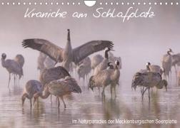 Kraniche am Schlafplatz - im Naturparadies der Mecklenburgischen Seenplatte (Wandkalender 2022 DIN A4 quer)
