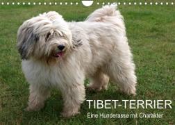 Tibet-Terrier - Eine Hunderasse mit Charakter (Wandkalender 2022 DIN A4 quer)