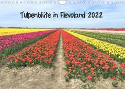 Tulpenblüte in Flevoland 2022 (Wandkalender 2022 DIN A4 quer)