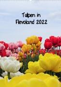 Tulpen in Flevoland (Wandkalender 2022 DIN A2 hoch)