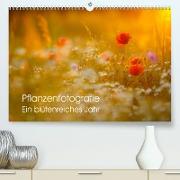 Pflanzenfotografie - Ein blütenreiches Jahr (Premium, hochwertiger DIN A2 Wandkalender 2022, Kunstdruck in Hochglanz)