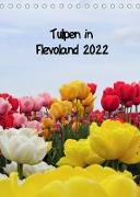 Tulpen in Flevoland (Tischkalender 2022 DIN A5 hoch)