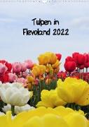 Tulpen in Flevoland (Wandkalender 2022 DIN A3 hoch)