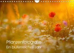 Pflanzenfotografie - Ein blütenreiches Jahr (Wandkalender 2022 DIN A4 quer)