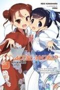 Accel World, Vol. 25 (light novel)