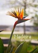 Madeira - wiederentdeckt (Wandkalender 2022 DIN A2 hoch)