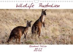 Wildlife Australien (Wandkalender 2022 DIN A4 quer)