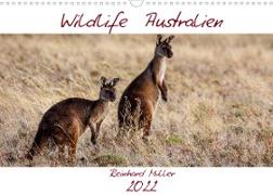 Wildlife Australien (Wandkalender 2022 DIN A3 quer)