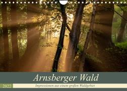 Arnsberger Wald (Wandkalender 2022 DIN A4 quer)