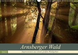 Arnsberger Wald (Wandkalender 2022 DIN A3 quer)
