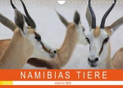 Namibias Tiere - wild im Bild (Wandkalender 2022 DIN A4 quer)