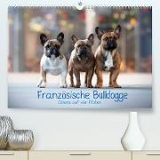 Französische Bulldogge - Clowns auf vier Pfoten (Premium, hochwertiger DIN A2 Wandkalender 2022, Kunstdruck in Hochglanz)