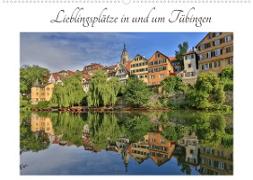 Lieblingsplätze in und um Tübingen (Wandkalender 2022 DIN A2 quer)