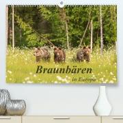 Braunbären in Europa (Premium, hochwertiger DIN A2 Wandkalender 2022, Kunstdruck in Hochglanz)