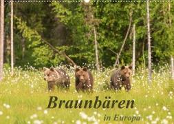 Braunbären in Europa (Wandkalender 2022 DIN A2 quer)