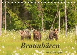 Braunbären in Europa (Tischkalender 2022 DIN A5 quer)