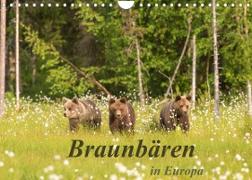 Braunbären in Europa (Wandkalender 2022 DIN A4 quer)