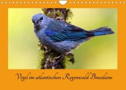 Vögel im atlantischen Regenwald Brasiliens (Wandkalender 2022 DIN A4 quer)
