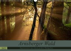 Arnsberger Wald (Wandkalender 2022 DIN A3 quer)