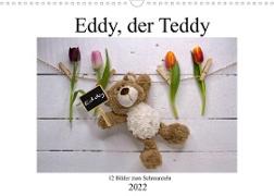 Eddy, der Teddy - 12 Bilder zum Schmunzeln (Wandkalender 2022 DIN A3 quer)