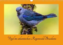 Vögel im atlantischen Regenwald Brasiliens (Wandkalender 2022 DIN A3 quer)