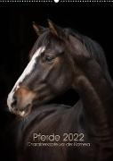 Pferde 2022 - Charakterköpfe vor der Kamera (Wandkalender 2022 DIN A2 hoch)