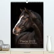 Pferde 2022 - Charakterköpfe vor der Kamera (Premium, hochwertiger DIN A2 Wandkalender 2022, Kunstdruck in Hochglanz)