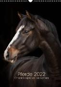 Pferde 2022 - Charakterköpfe vor der Kamera (Wandkalender 2022 DIN A3 hoch)
