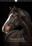 Pferde 2022 - Charakterköpfe vor der Kamera (Wandkalender 2022 DIN A4 hoch)