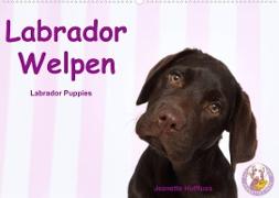 Labrador Welpen - Labrador Puppies (Wandkalender 2022 DIN A2 quer)