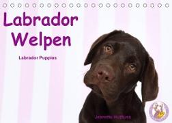 Labrador Welpen - Labrador Puppies (Tischkalender 2022 DIN A5 quer)