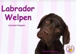 Labrador Welpen - Labrador Puppies (Wandkalender 2022 DIN A3 quer)