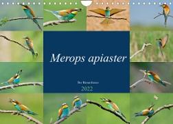 Merops apiaster - der Bienenfresser (Wandkalender 2022 DIN A4 quer)