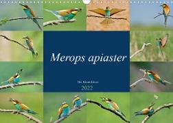 Merops apiaster - der Bienenfresser (Wandkalender 2022 DIN A3 quer)