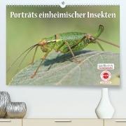 GEOclick Lernkalender: Porträts einheimischer Insekten (Premium, hochwertiger DIN A2 Wandkalender 2022, Kunstdruck in Hochglanz)