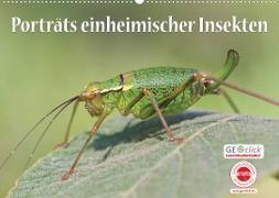 GEOclick Lernkalender: Porträts einheimischer Insekten (Wandkalender 2022 DIN A2 quer)