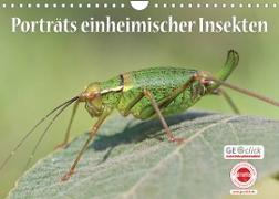 GEOclick Lernkalender: Porträts einheimischer Insekten (Wandkalender 2022 DIN A4 quer)
