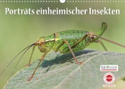 GEOclick Lernkalender: Porträts einheimischer Insekten (Wandkalender 2022 DIN A3 quer)