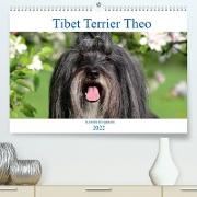 Tibet Terrier Theo (Premium, hochwertiger DIN A2 Wandkalender 2022, Kunstdruck in Hochglanz)