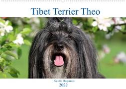 Tibet Terrier Theo (Wandkalender 2022 DIN A2 quer)