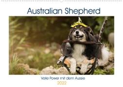 Australian Shepherd - volle Power mit dem Aussie (Wandkalender 2022 DIN A2 quer)