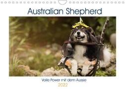 Australian Shepherd - volle Power mit dem Aussie (Wandkalender 2022 DIN A4 quer)