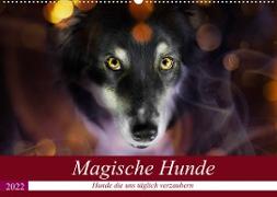 Magische Hunde - Hunde die uns täglich verzaubern (Wandkalender 2022 DIN A2 quer)